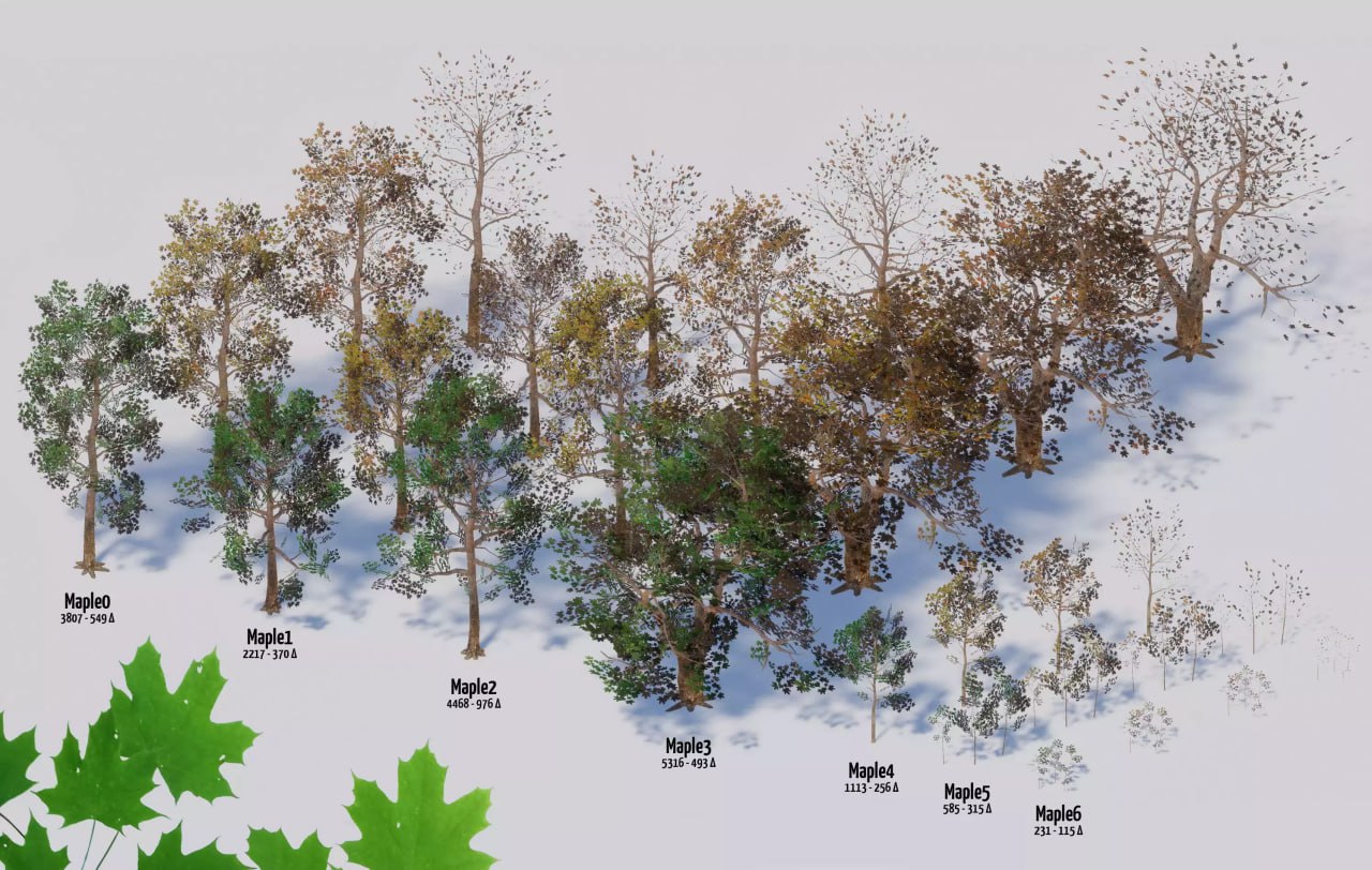 Seasonal Forest📱 - изображение 3